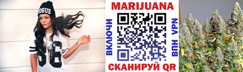 как найти закладки  Партизанск  это наркотические препараты  Конопля сатива 